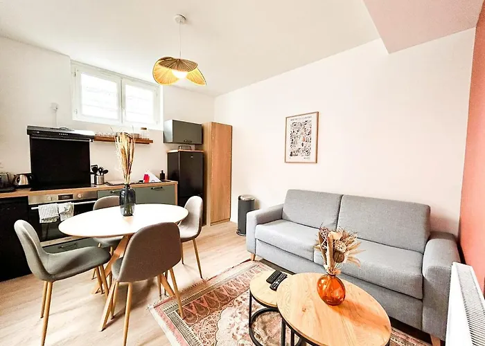 Cosy Perle - T3 - Quartier Des Halles & Parking Souterrain * Pau